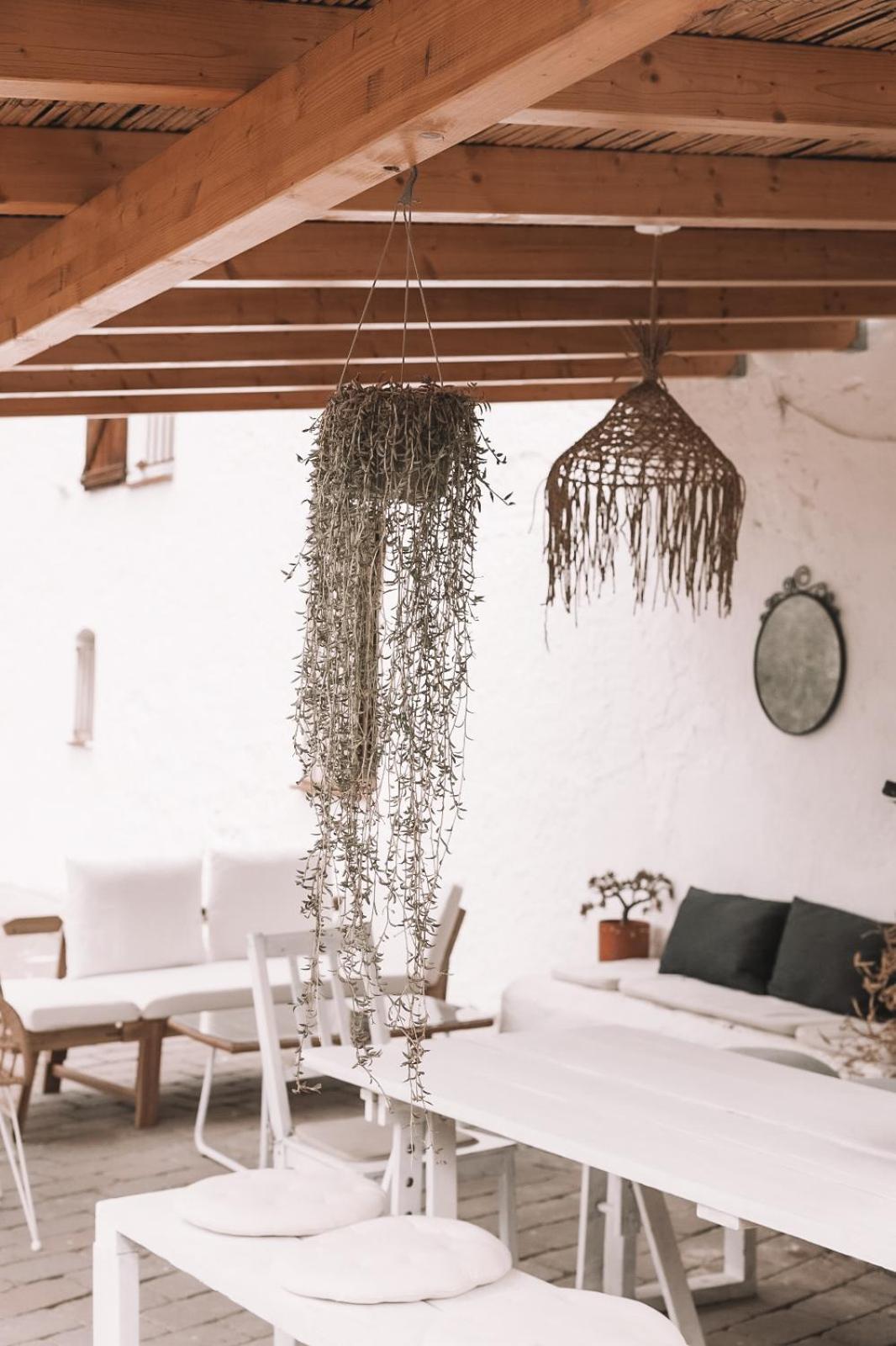 Casa Om Dosrius